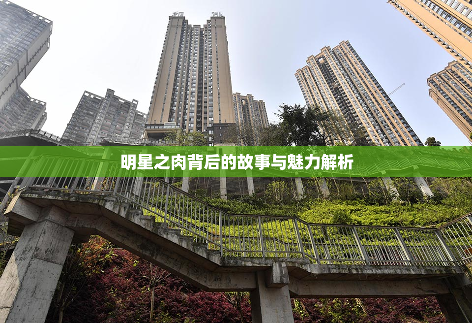 明星之肉背后的故事与魅力解析