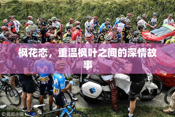 枫花恋，重温枫叶之间的深情故事