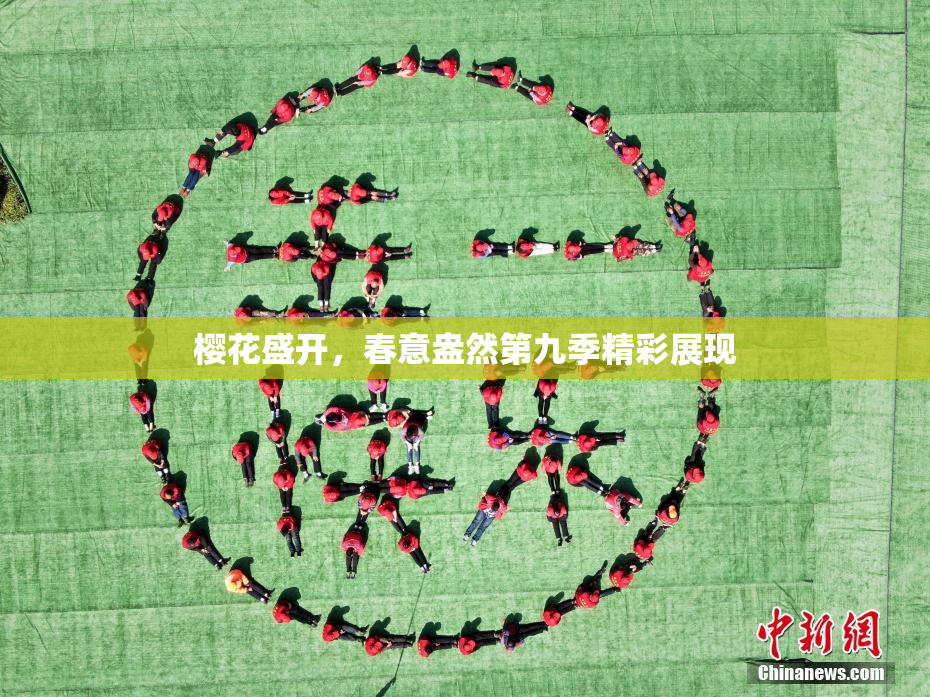 樱花盛开，春意盎然第九季精彩展现