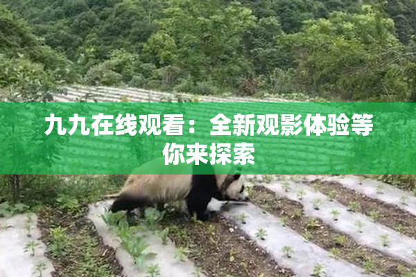 九九在线观看：全新观影体验等你来探索