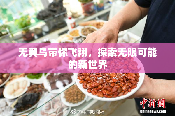 无翼乌带你飞翔，探索无限可能的新世界