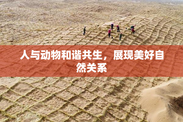 人与动物和谐共生，展现美好自然关系
