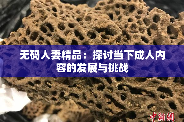 无码人妻精品：探讨当下成人内容的发展与挑战