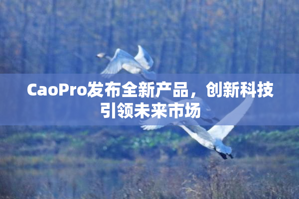 CaoPro发布全新产品，创新科技引领未来市场