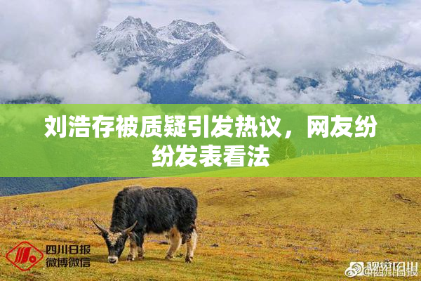 刘浩存被质疑引发热议，网友纷纷发表看法