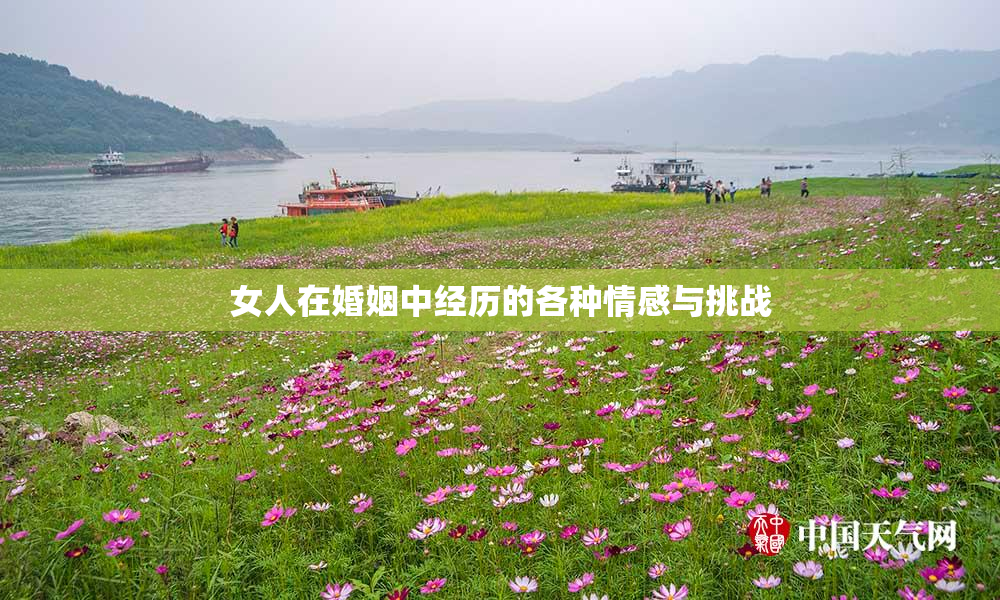 女人在婚姻中经历的各种情感与挑战