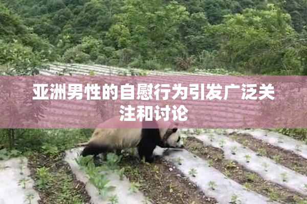 亚洲男性的自慰行为引发广泛关注和讨论