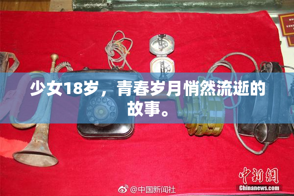 少女18岁，青春岁月悄然流逝的故事。