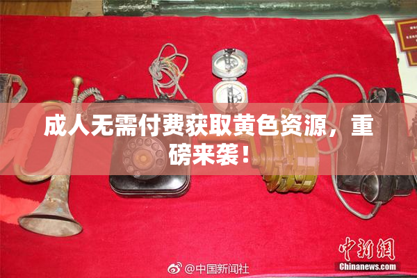 成人无需付费获取黄色资源，重磅来袭！