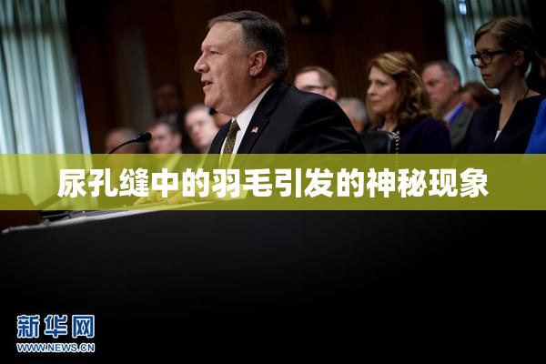 尿孔缝中的羽毛引发的神秘现象