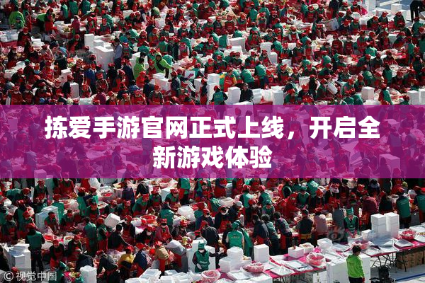 拣爱手游官网正式上线，开启全新游戏体验