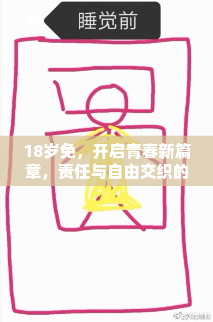 18岁免，开启青春新篇章，责任与自由交织的时代来临！