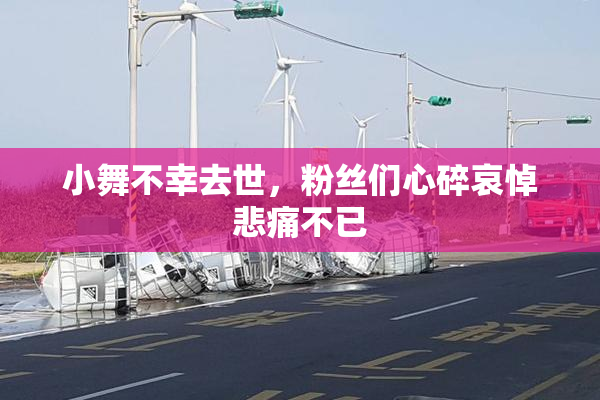 小舞不幸去世，粉丝们心碎哀悼悲痛不已