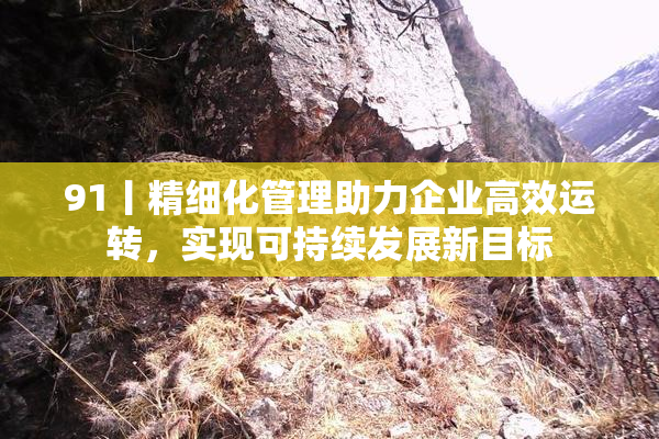 91丨精细化管理助力企业高效运转，实现可持续发展新目标