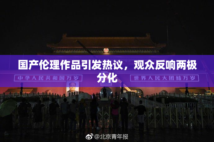 国产伦理作品引发热议，观众反响两极分化