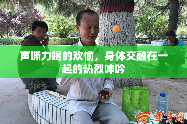 声嘶力竭的欢愉，身体交融在一起的热烈呻吟