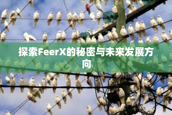 探索FeerX的秘密与未来发展方向