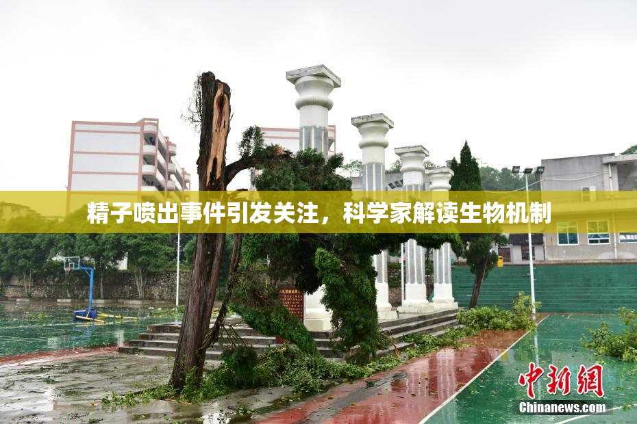 精子喷出事件引发关注，科学家解读生物机制
