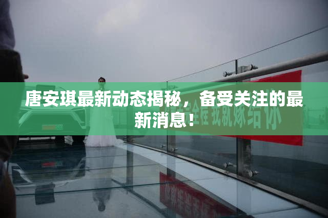 唐安琪最新动态揭秘，备受关注的最新消息！