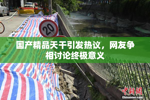 国产精品天干引发热议，网友争相讨论终极意义