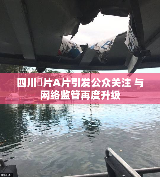 四川婬片A片引发公众关注 与网络监管再度升级