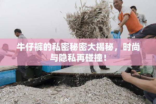 牛仔裤的私密秘密大揭秘，时尚与隐私再碰撞！