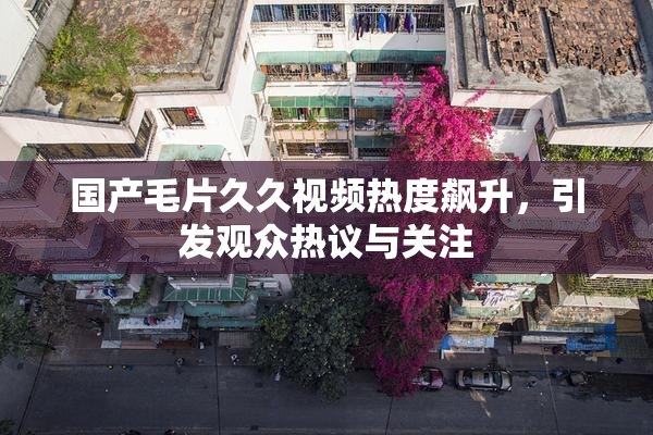 国产毛片久久视频热度飙升，引发观众热议与关注
