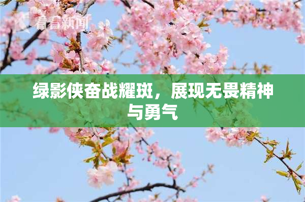 绿影侠奋战耀斑，展现无畏精神与勇气