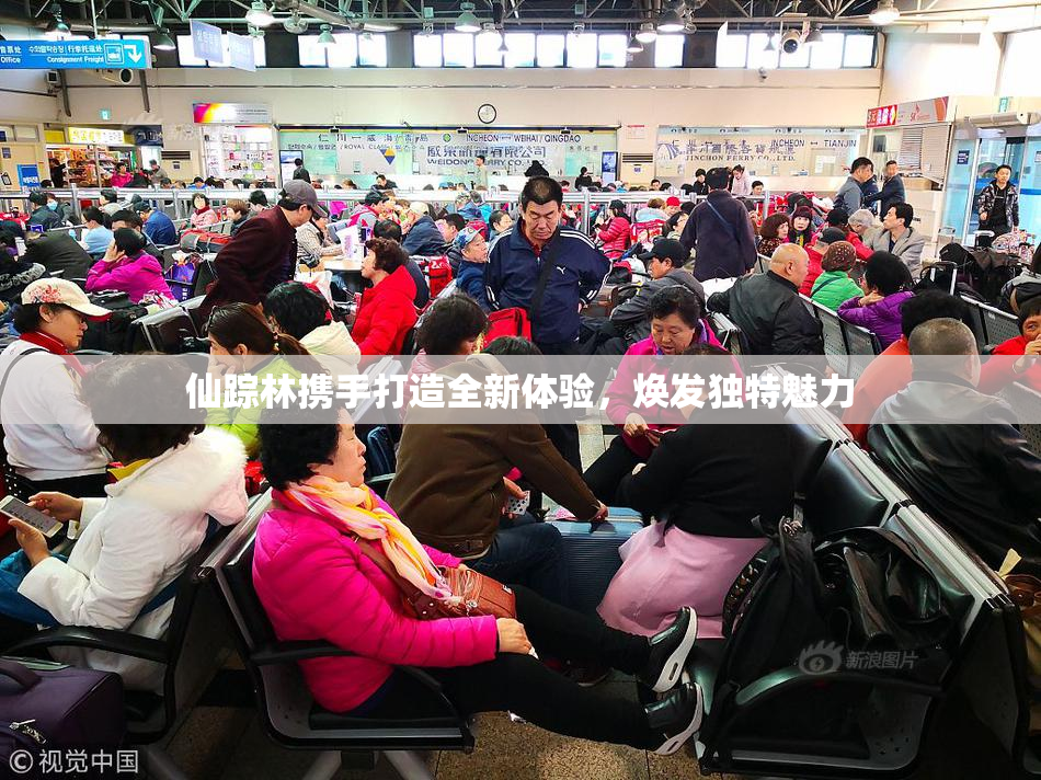 仙踪林携手打造全新体验，焕发独特魅力