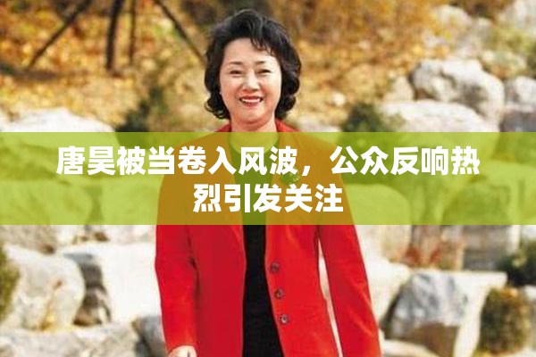 唐昊被当卷入风波，公众反响热烈引发关注