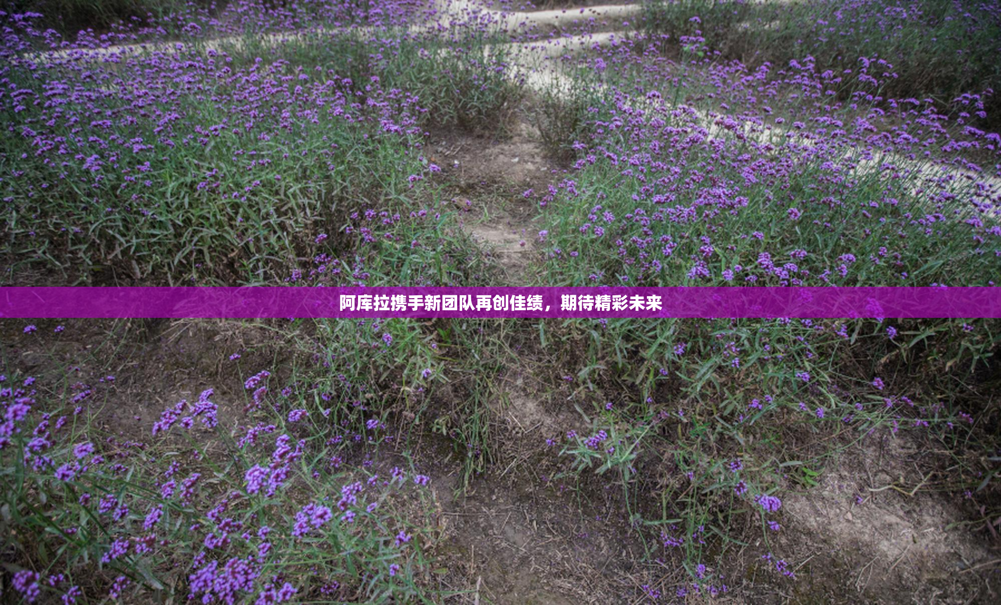 阿库拉携手新团队再创佳绩，期待精彩未来