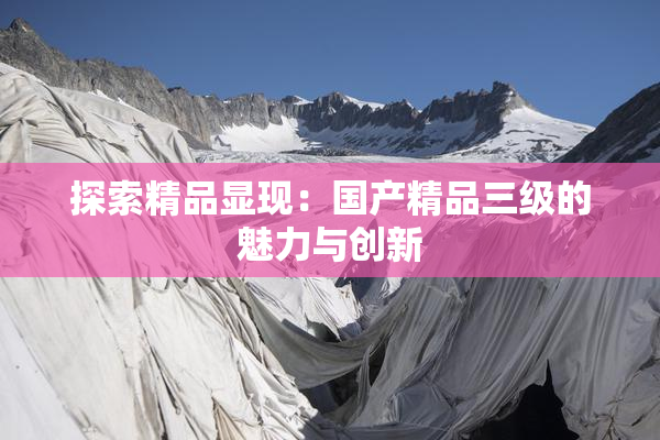 探索精品显现：国产精品三级的魅力与创新