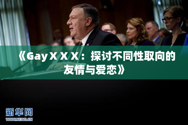 《GayⅩⅩⅩ：探讨不同性取向的友情与爱恋》