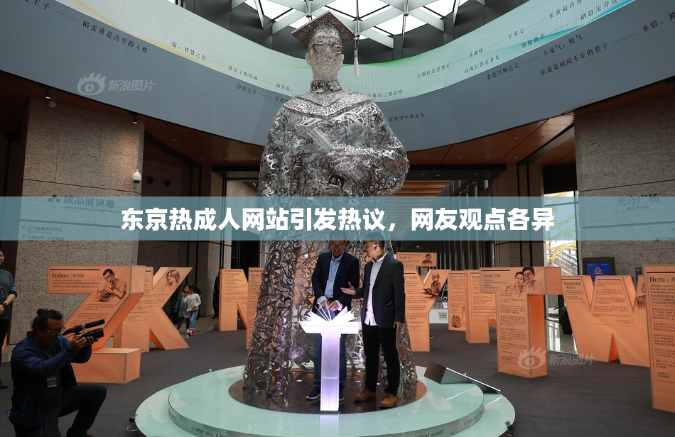东京热成人网站引发热议，网友观点各异