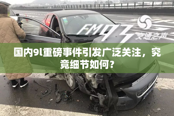国内9l重磅事件引发广泛关注，究竟细节如何？