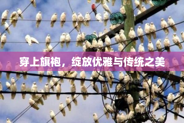 穿上旗袍，绽放优雅与传统之美