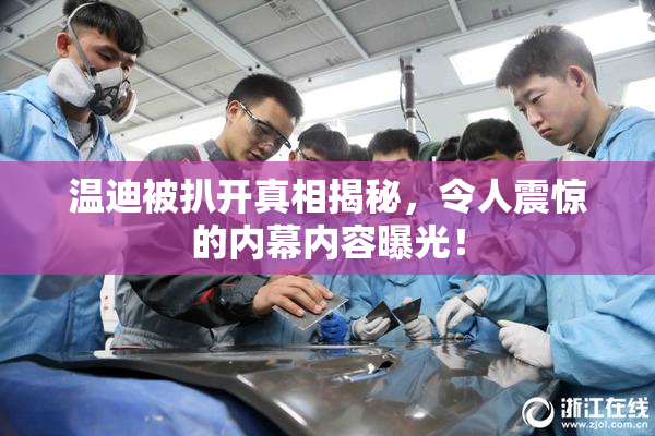 温迪被扒开真相揭秘，令人震惊的内幕内容曝光！