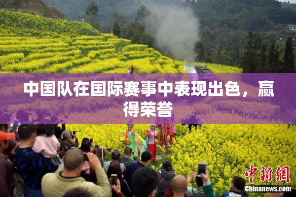 中国队在国际赛事中表现出色，赢得荣誉