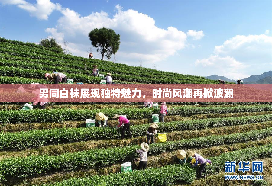 男同白袜展现独特魅力，时尚风潮再掀波澜