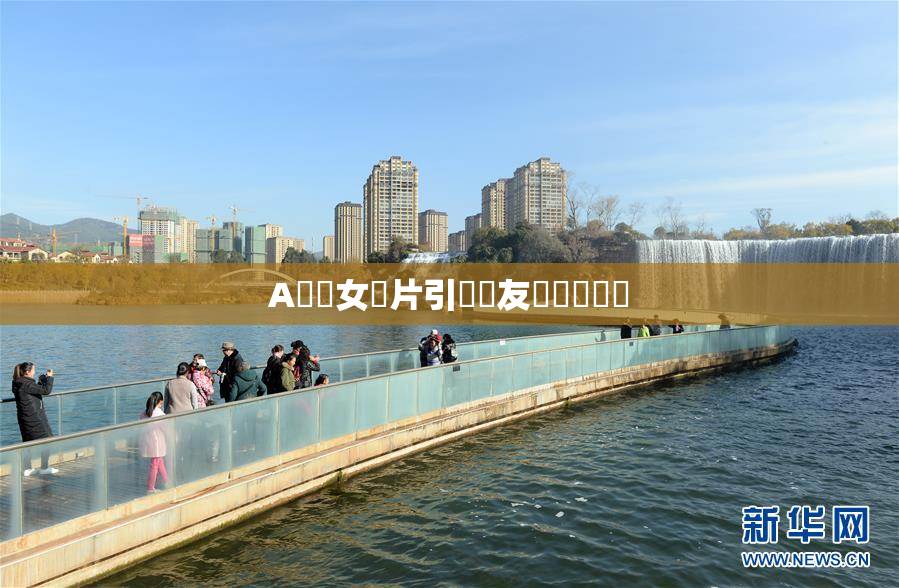 A級處女黃片引發網友熱議與討論