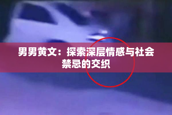 男男黄文：探索深层情感与社会禁忌的交织