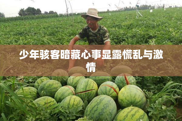 少年骇客暗藏心事显露慌乱与激情