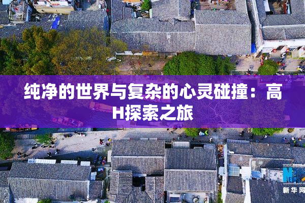 纯净的世界与复杂的心灵碰撞：高H探索之旅