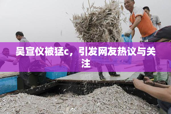 吴宣仪被猛c，引发网友热议与关注