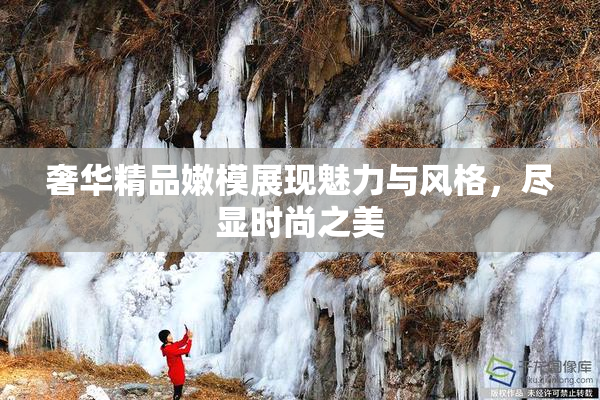 奢华精品嫩模展现魅力与风格，尽显时尚之美