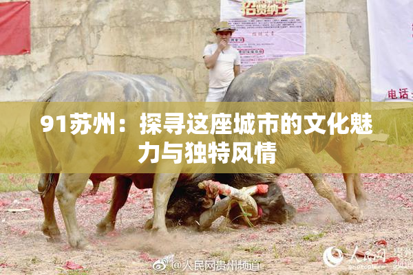 91苏州：探寻这座城市的文化魅力与独特风情