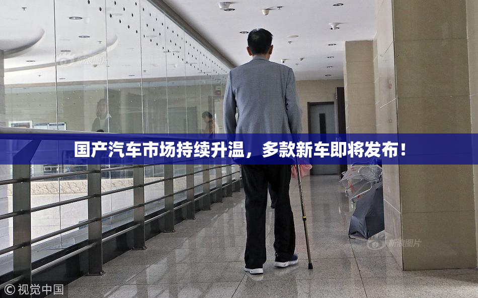 国产汽车市场持续升温，多款新车即将发布！