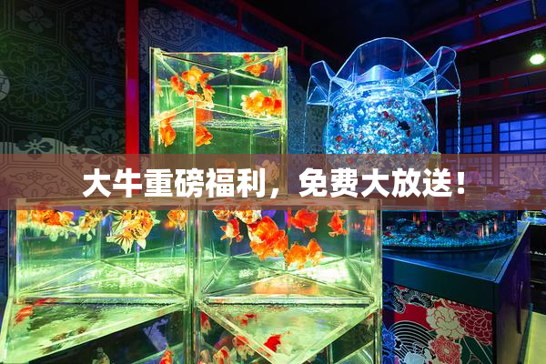 大牛重磅福利，免费大放送！