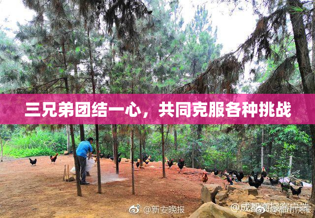 三兄弟团结一心，共同克服各种挑战