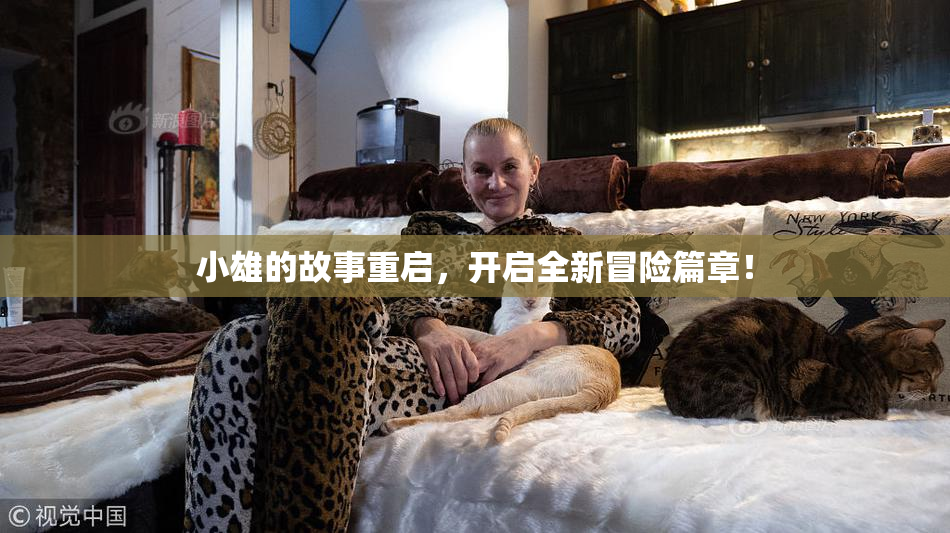 小雄的故事重启，开启全新冒险篇章！